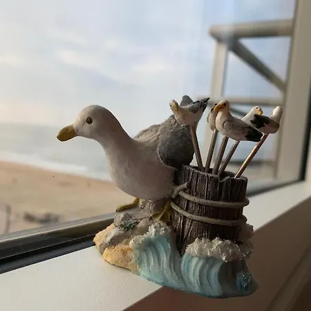 Sunny With Seaview
