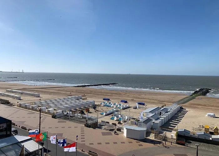 アパート Sunny With Seaview *